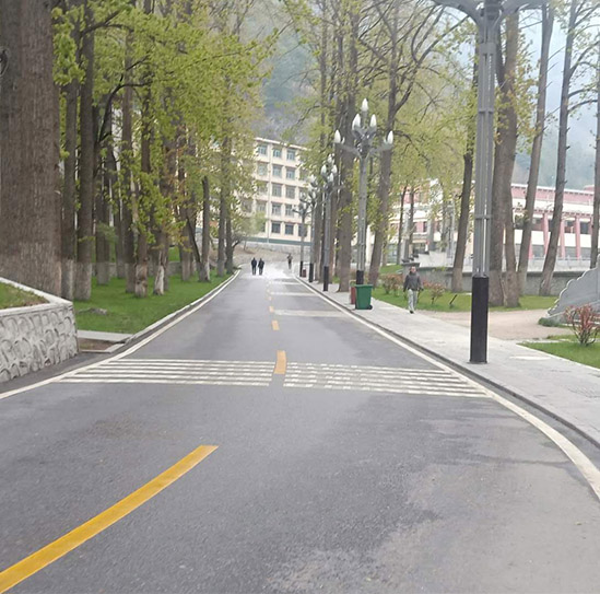 日喀則市亞東縣環(huán)衛現場圖